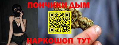 индика Бийск