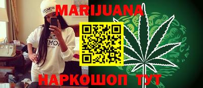 индика Бийск