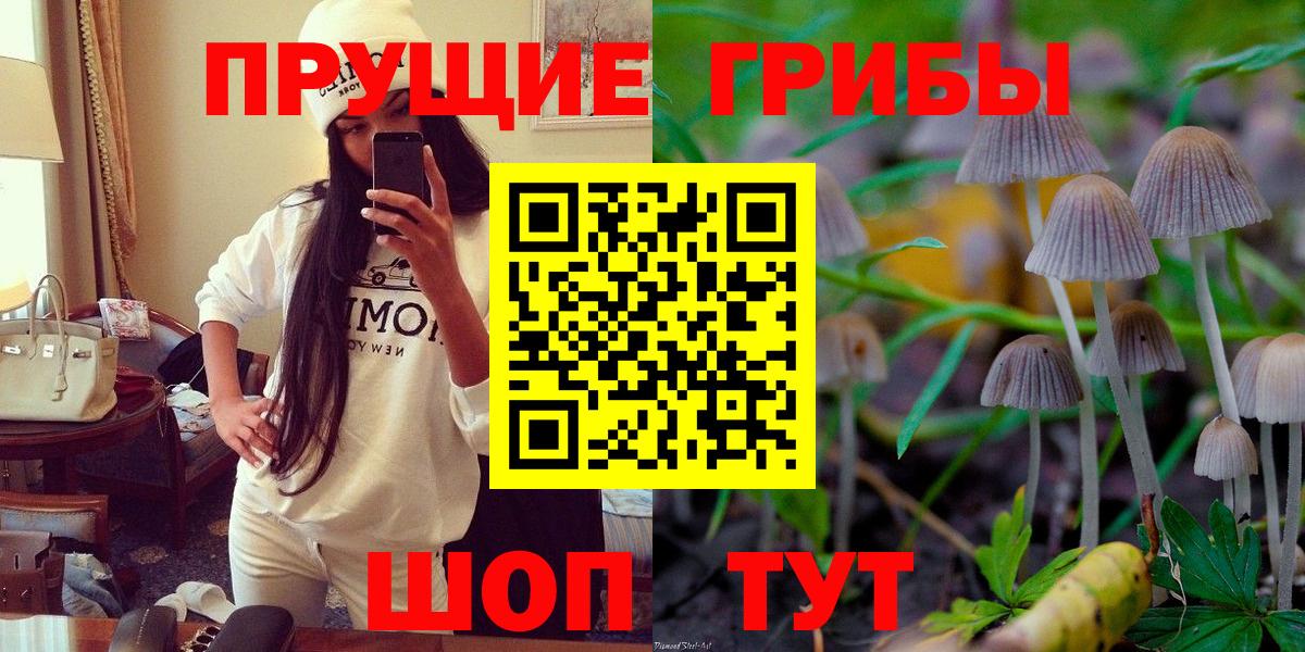 Галлюциногенные грибы Psilocybine cubensis  Вход с VPN  Дзержинск  продажа наркотиков  Псилоцибиновые грибы мухоморы 