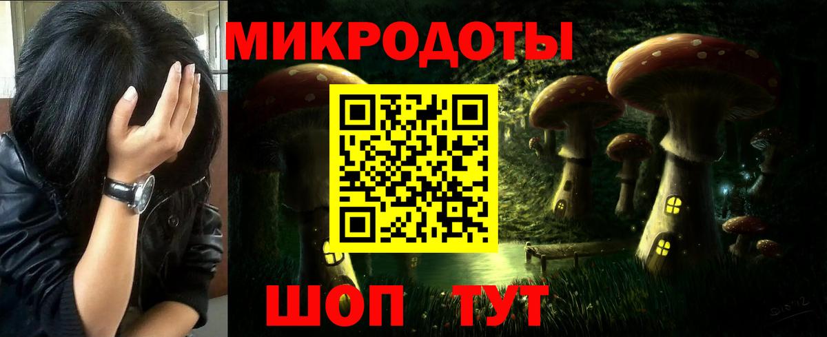 Псилоцибиновые грибы MAGIC MUSHROOMS  Галлюциногенные грибы Psilocybe  Дзержинск 